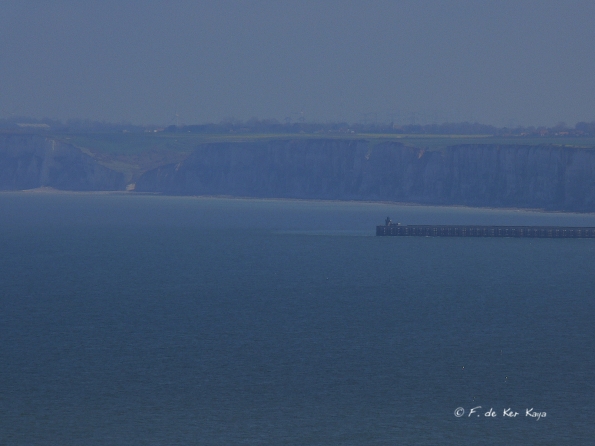 Falaise Varengeville (7)